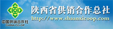 陜西省供銷(xiāo)合作總社